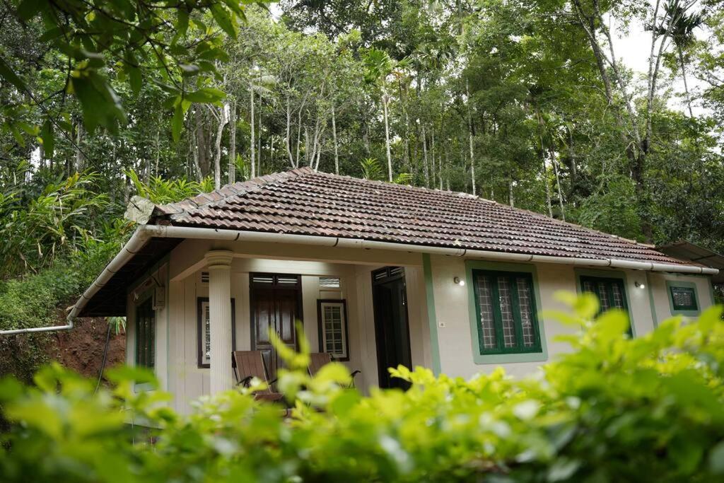 Coffee Camp Home Stay With Tree House Kattappana Kültér fotó