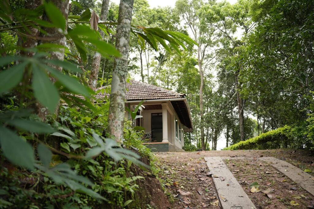 Coffee Camp Home Stay With Tree House Kattappana Kültér fotó