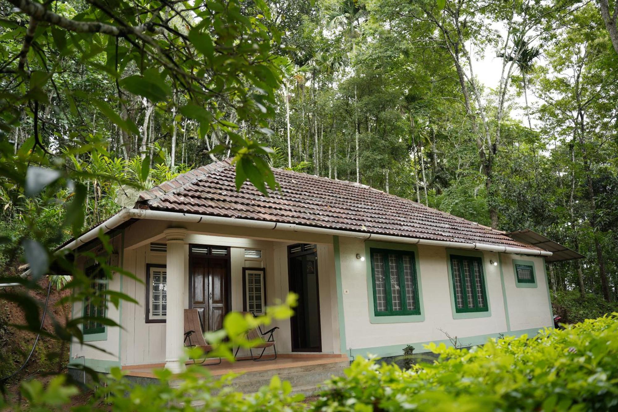 Coffee Camp Home Stay With Tree House Kattappana Kültér fotó