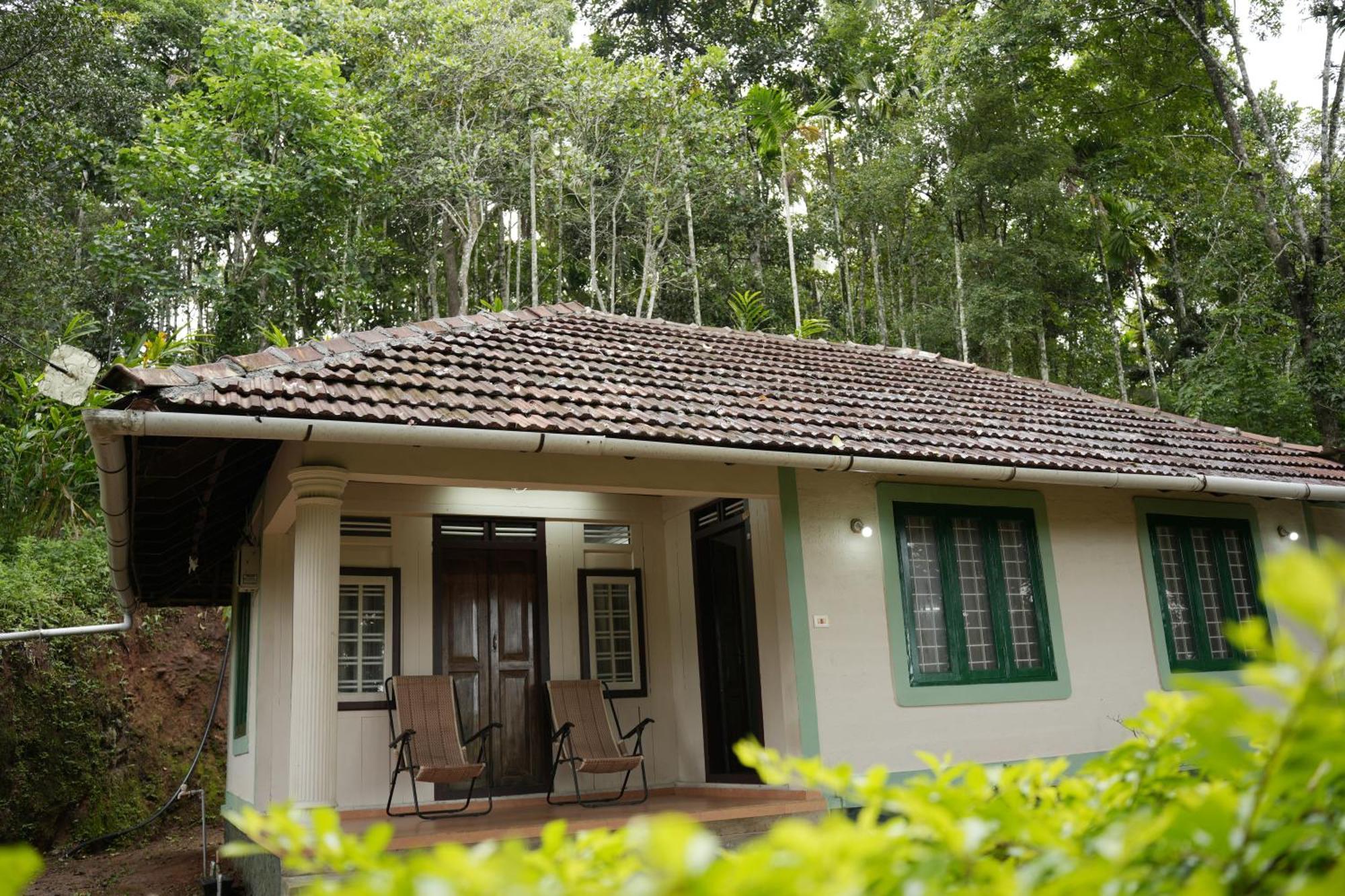 Coffee Camp Home Stay With Tree House Kattappana Kültér fotó