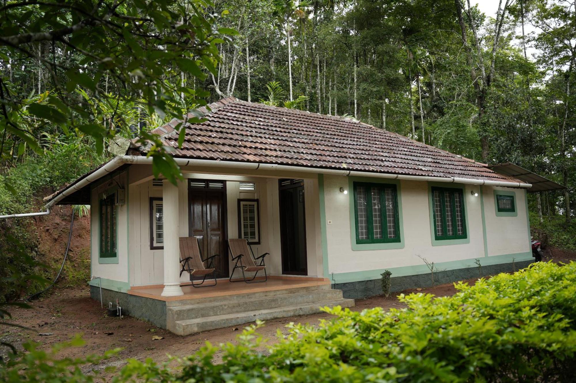 Coffee Camp Home Stay With Tree House Kattappana Kültér fotó