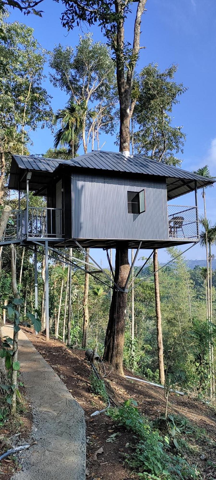 Coffee Camp Home Stay With Tree House Kattappana Kültér fotó