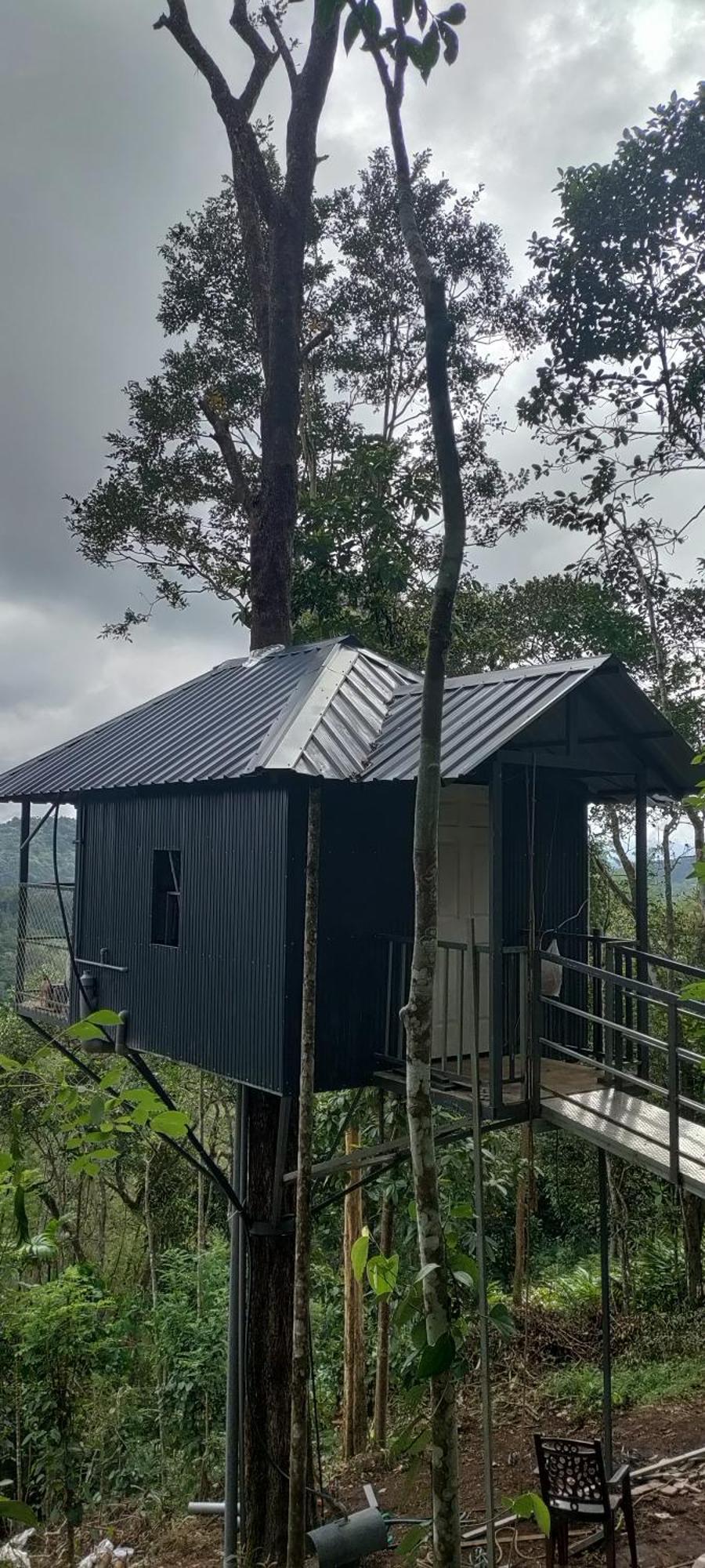 Coffee Camp Home Stay With Tree House Kattappana Kültér fotó